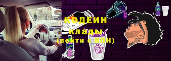 гидра Ельня