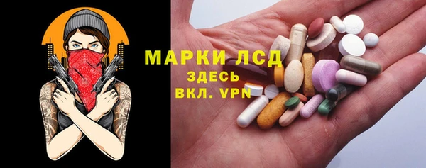 гидра Ельня