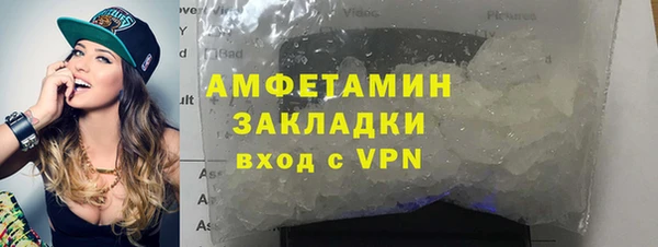 гидра Ельня