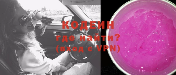 гидра Ельня