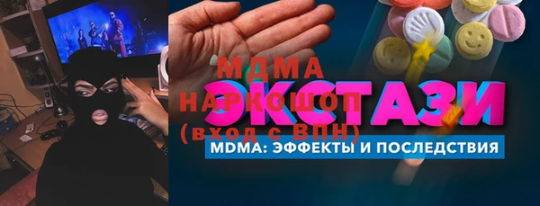 гидра Ельня