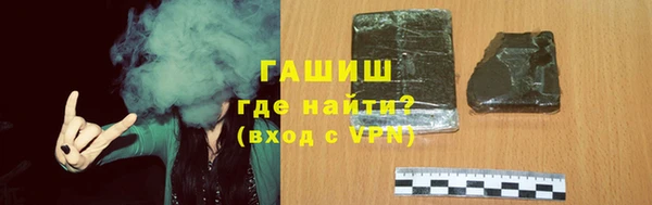 гидра Ельня