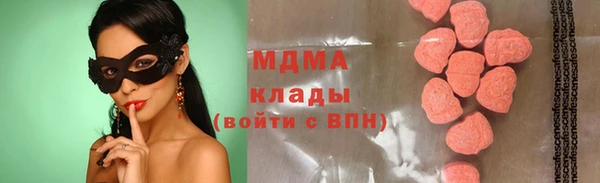 гидра Ельня