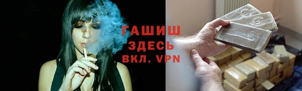 гидра Ельня