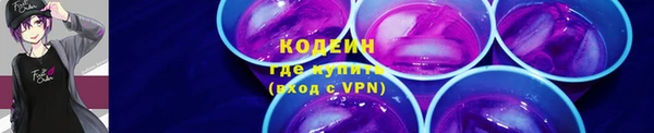 гидра Ельня