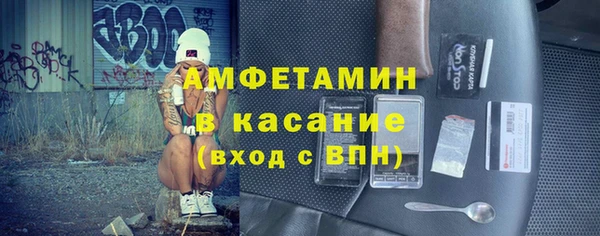 гидра Ельня
