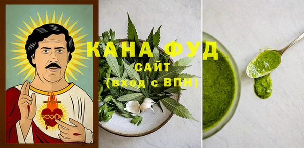 гидра Ельня