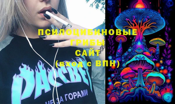 герыч Елабуга