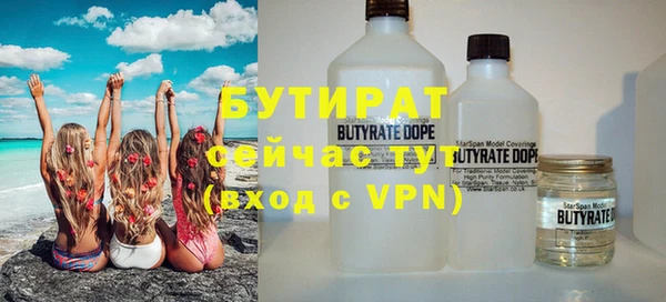 гидра Ельня