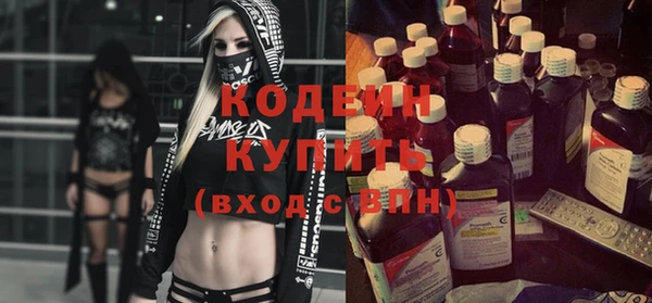 гидра Ельня