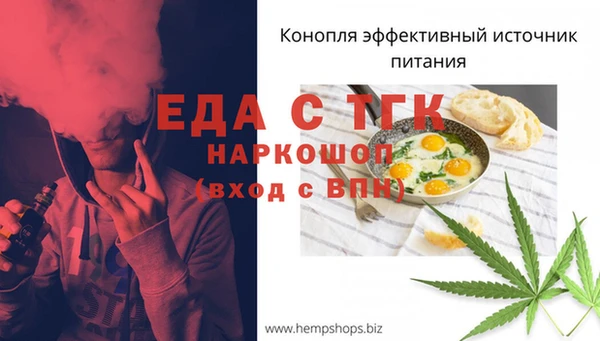 гидра Ельня