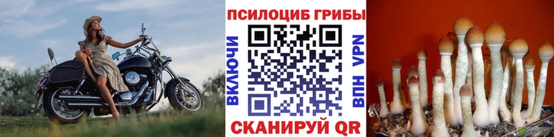 Псилоцибиновые грибы Magic Shrooms Подольск