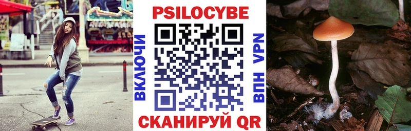 Галлюциногенные грибы MAGIC MUSHROOMS  Подольск 